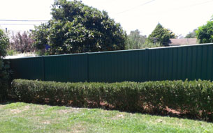 Colorbond Fencing